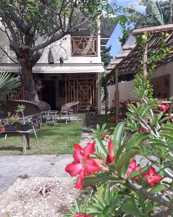 Casa Eolica Ξενοδοχείο Barra Grande  Εξωτερικό φωτογραφία