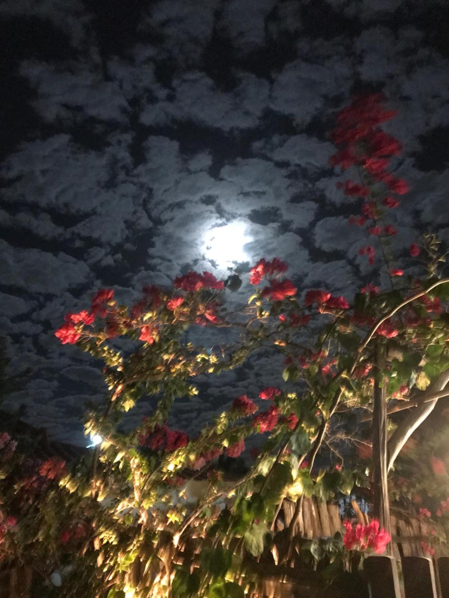 Casa Eolica Ξενοδοχείο Barra Grande  Εξωτερικό φωτογραφία