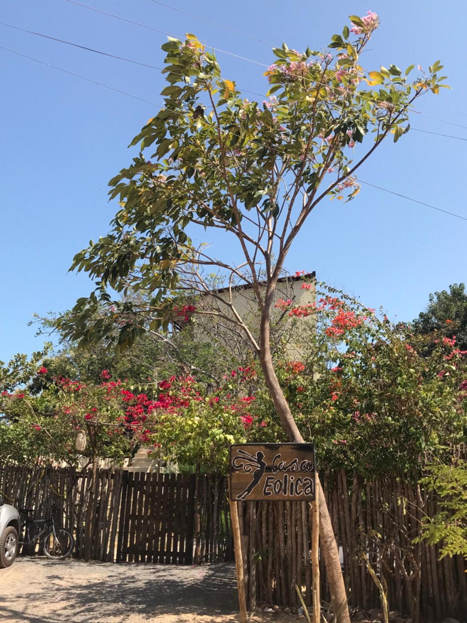 Casa Eolica Ξενοδοχείο Barra Grande  Εξωτερικό φωτογραφία